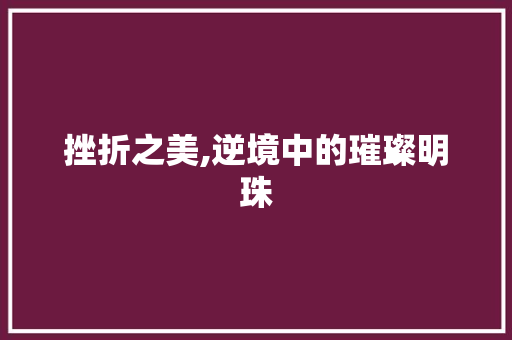 挫折之美,逆境中的璀璨明珠