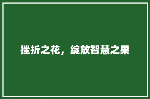 挫折之花，绽放智慧之果