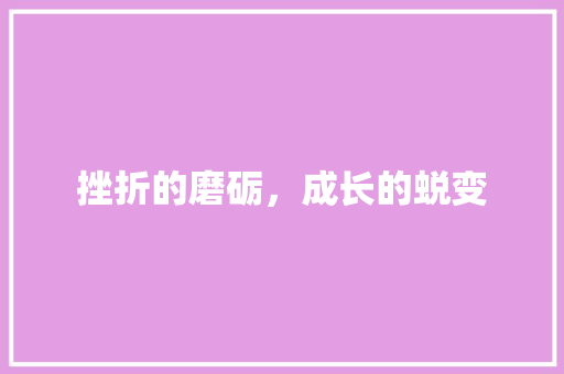 挫折的磨砺，成长的蜕变