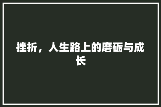 挫折，人生路上的磨砺与成长