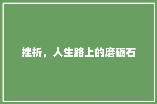 挫折，人生路上的磨砺石