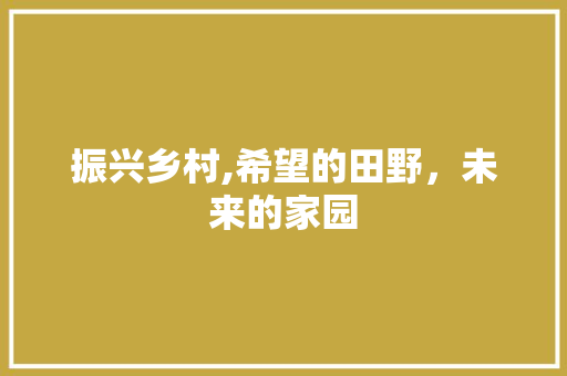 振兴乡村,希望的田野，未来的家园