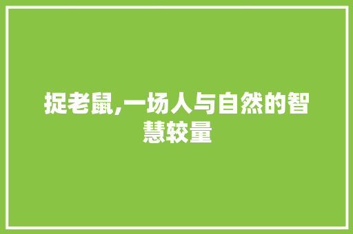 捉老鼠,一场人与自然的智慧较量