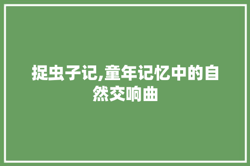 捉虫子记,童年记忆中的自然交响曲