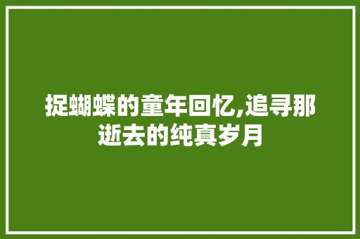 捉蝴蝶的童年回忆,追寻那逝去的纯真岁月