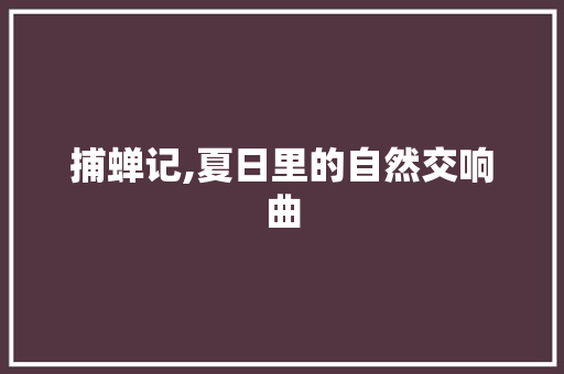 捕蝉记,夏日里的自然交响曲