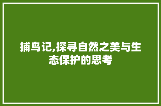 捕鸟记,探寻自然之美与生态保护的思考