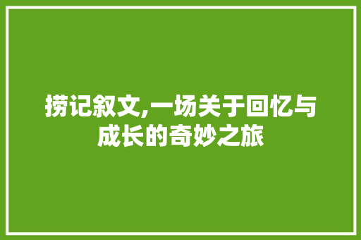 捞记叙文,一场关于回忆与成长的奇妙之旅