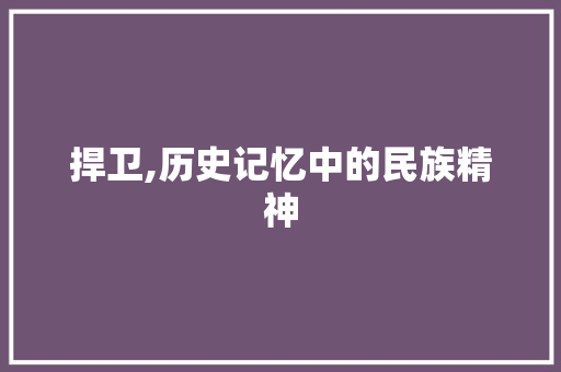 捍卫,历史记忆中的民族精神