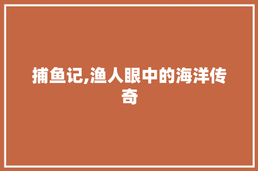 捕鱼记,渔人眼中的海洋传奇