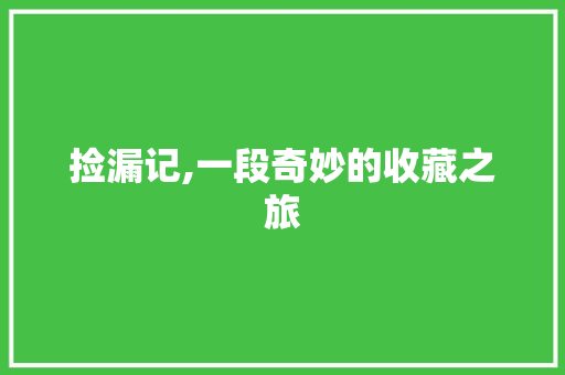 捡漏记,一段奇妙的收藏之旅