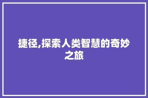 捷径,探索人类智慧的奇妙之旅