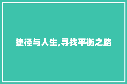 捷径与人生,寻找平衡之路