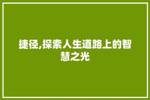 捷径,探索人生道路上的智慧之光