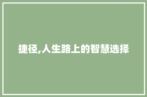 捷径,人生路上的智慧选择