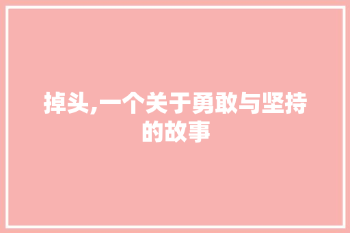 掉头,一个关于勇敢与坚持的故事