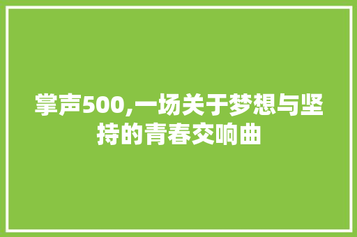 掌声500,一场关于梦想与坚持的青春交响曲