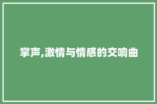 掌声,激情与情感的交响曲