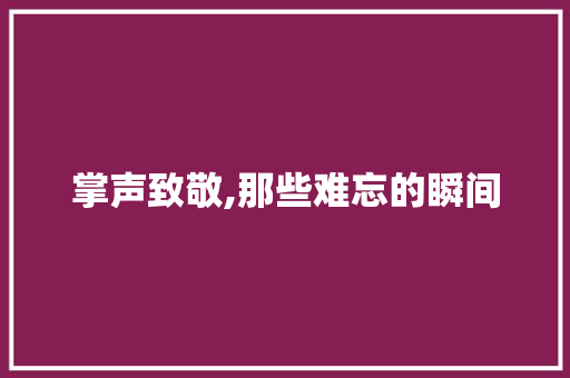 掌声致敬,那些难忘的瞬间