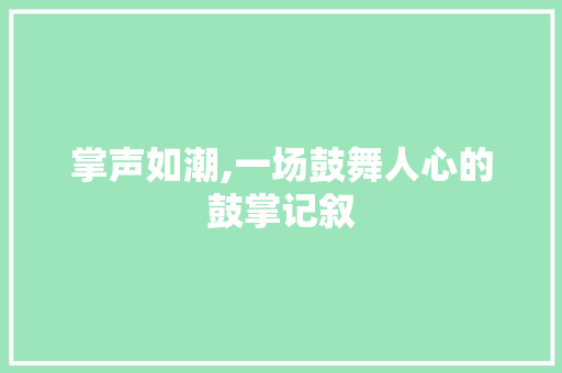 掌声如潮,一场鼓舞人心的鼓掌记叙