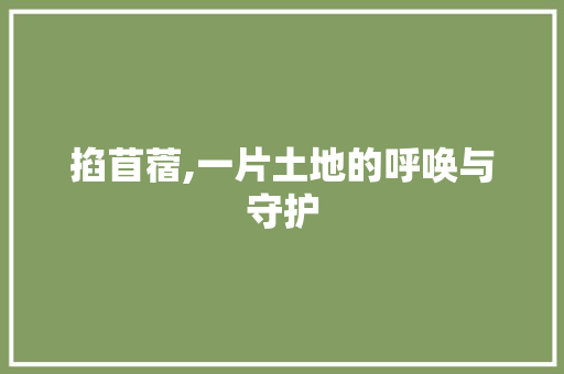 掐苜蓿,一片土地的呼唤与守护