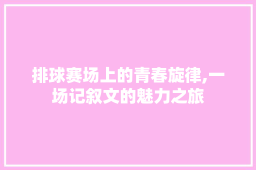 排球赛场上的青春旋律,一场记叙文的魅力之旅