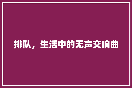 排队，生活中的无声交响曲