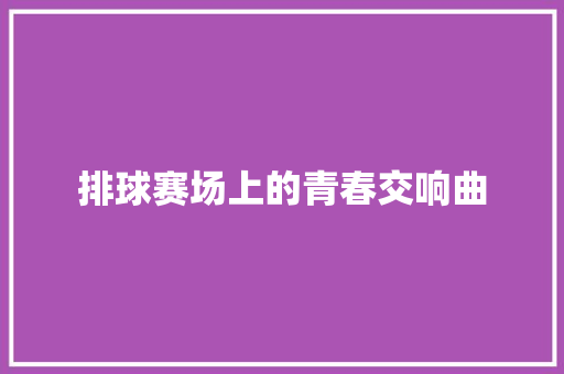 排球赛场上的青春交响曲