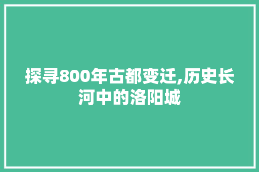 探寻800年古都变迁,历史长河中的洛阳城