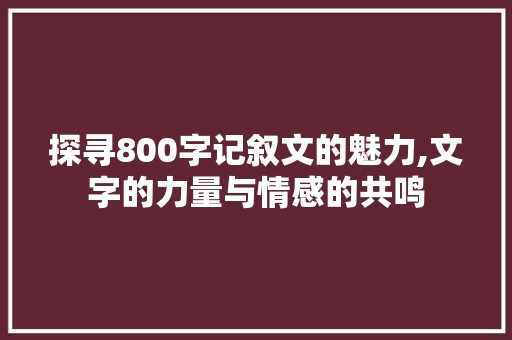 探寻800字记叙文的魅力,文字的力量与情感的共鸣