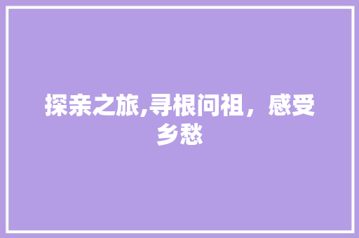 探亲之旅,寻根问祖，感受乡愁