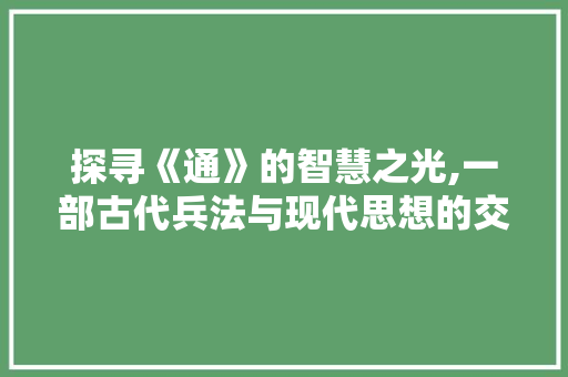 探寻《通》的智慧之光,一部古代兵法与现代思想的交融