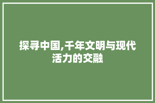 探寻中国,千年文明与现代活力的交融