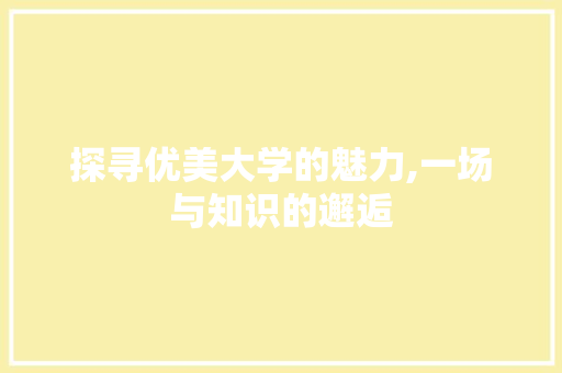 探寻优美大学的魅力,一场与知识的邂逅