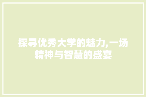 探寻优秀大学的魅力,一场精神与智慧的盛宴