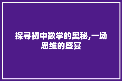 探寻初中数学的奥秘,一场思维的盛宴