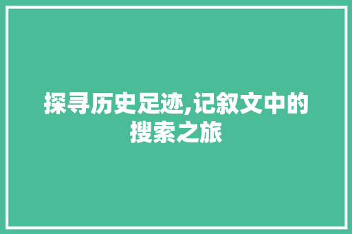 探寻历史足迹,记叙文中的搜索之旅