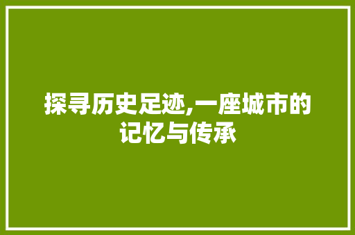 探寻历史足迹,一座城市的记忆与传承