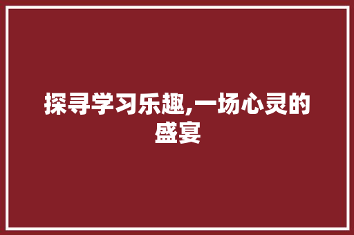 探寻学习乐趣,一场心灵的盛宴