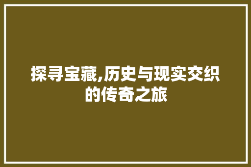 探寻宝藏,历史与现实交织的传奇之旅