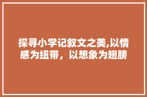 探寻小学记叙文之美,以情感为纽带，以想象为翅膀