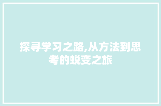 探寻学习之路,从方法到思考的蜕变之旅