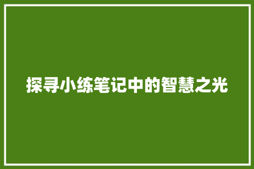 探寻小练笔记中的智慧之光