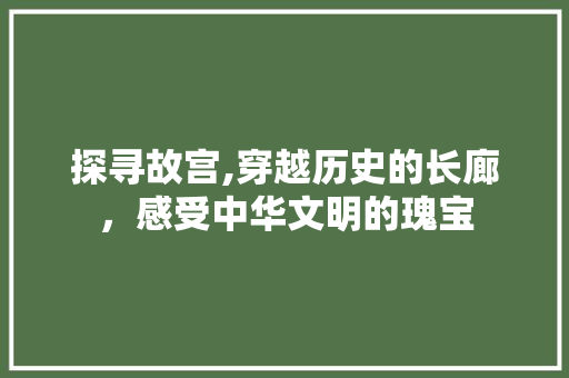 探寻故宫,穿越历史的长廊，感受中华文明的瑰宝