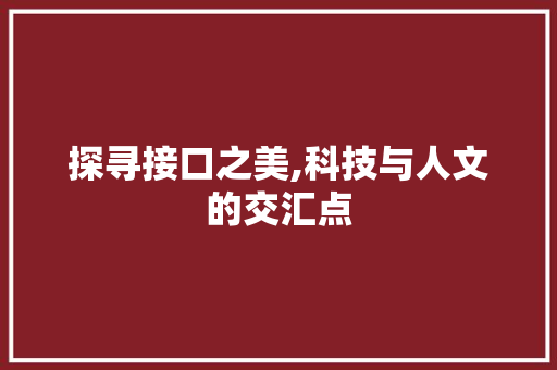 探寻接口之美,科技与人文的交汇点