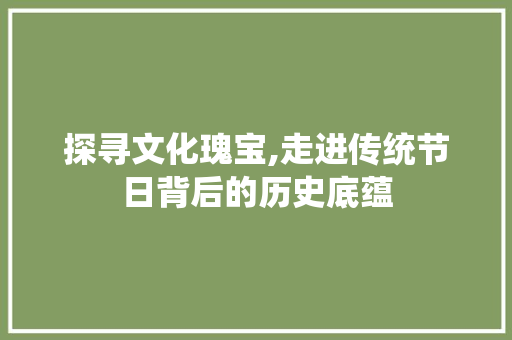 探寻文化瑰宝,走进传统节日背后的历史底蕴