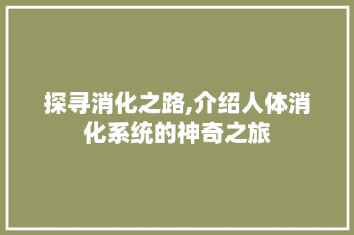 探寻消化之路,介绍人体消化系统的神奇之旅