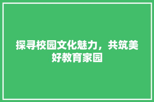 探寻校园文化魅力，共筑美好教育家园