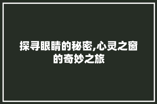 探寻眼睛的秘密,心灵之窗的奇妙之旅