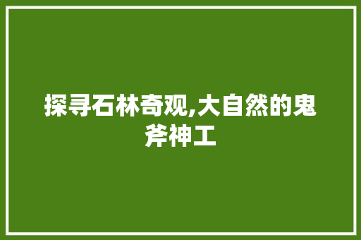 探寻石林奇观,大自然的鬼斧神工